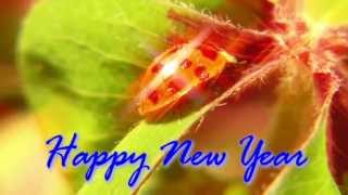 Happy New Year 2024 Video [upl. by Hoeg158]