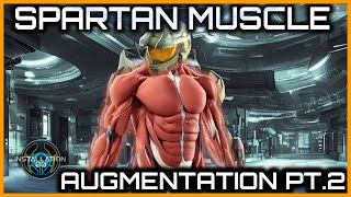 Spartan Muscle Augmentations  A Comparison [upl. by Anik]