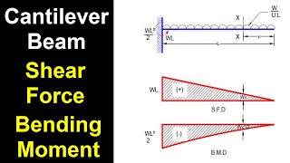 Cantilever Beam Shear Force amp Bending Moment [upl. by Notlad]