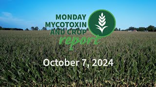 Monday Mycotoxin and Crop Report for October 7 2024 [upl. by Eetsim261]