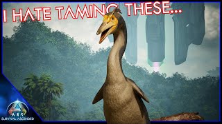 Hesperornis Taming Is The Worst  Ark Survival Ascended EP56 [upl. by Ruberta223]