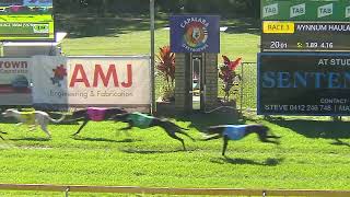 CapalabaThursday23052024Race3 [upl. by Cornell]