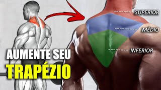 SUPER TREINO DE TRAPÉZIO  Completo [upl. by Smiley]