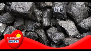 What is Coal  More Science on the Learning Videos Channel [upl. by Ellennej]