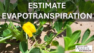 How to check the FRET Forecast Reference EvapoTranspiration [upl. by Eelarat]