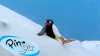 Pingu Learns His Lesson 🐧  Pingu  Official Channel  Cartoons For Kids [upl. by Kial555]