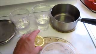 Penicillium isolation from citrus fruit  Part 1 [upl. by Ynattyrb751]