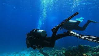 Scuba Woman Canyon Dive Dahab [upl. by Adilem714]