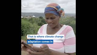 ClimateChange Mitigation vs Adaptation  What is the difference [upl. by Eitsrik]