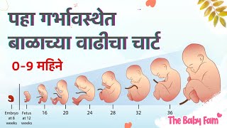 Baby Growth chart from 0 to 9 months  fetus growth in womb  Baby growth week by week in pregnancy [upl. by Ettevram]