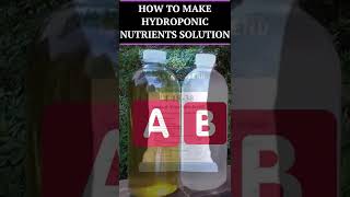 How To Make Hydroponic A amp B Nutrient Solution  Hydroponic Nutrient Solution Recipe shorts [upl. by Eralcyram]