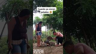 Se adelantó el sancocho 😅😂 humorviral gallina pollo asado sancocho sopas amigos parejas [upl. by Narmak]