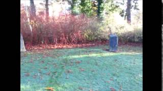 Gorsedd Stone Circle Dolerw Park Newtown [upl. by Ynomrah]