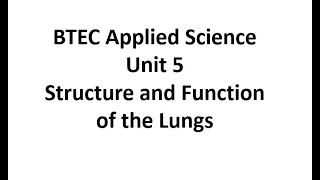 Unit 5 Biology Structure and function of the lungs [upl. by Annavaig680]