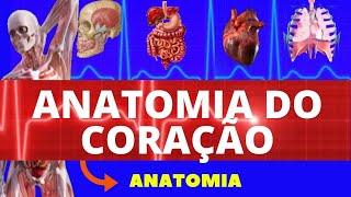 ANATOMIA DO CORAÇÃO LOCALIZAÇÃO CAMADAS VALVAS CORONÁRIAS E INERVAÇÃO  SISTEMA CARDIOVASCULAR [upl. by Larrej331]