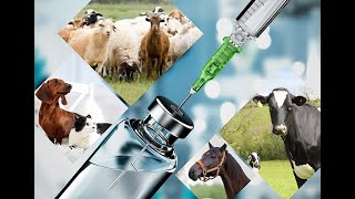 ATN BIOPHARMA  Veterinary medicine manufacturers in India [upl. by Gal]