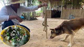 Snake Papaya Soup  Yummy Big Snake Boiled With Papaya For Food  Snake Soup Is The Best food Ever [upl. by Laniger782]