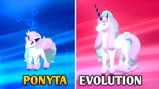 How To Evolve Galarian Ponyta Into Galarian Rapidash In Pokemon Sword amp Shield  Galar Pokedex [upl. by Rexanna]