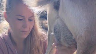 Elizabeth Kirk homestead Farm  Goat Milk  Smoking Fetish  Smoking ASMR Goat farms [upl. by Emmery]