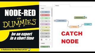 NODE RED FOR DUMMIESCATCH NODE [upl. by Jillana353]