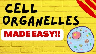 Cell Biology Cell Organelles explained in 5 minutes [upl. by Tiedeman1]