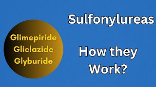 Sulfonylrueas  How do they work Mode of Action [upl. by Hudgens138]