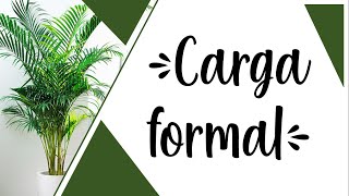 Carga formal  ¿QUÉ ES  ¿CÓMO CALCULAR CARGAS FORMALES ✨ [upl. by Ulla]