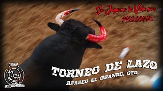 SE JUGARON LA VIDA POR 12000000 TORNEO DE LAZO EN APASEO GTO🐮🔥 [upl. by Elleirol]