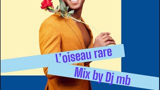 Loiseau Rare mix version 2023 [upl. by Grados79]