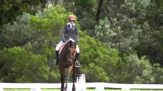 Boss Prelim 11 Dressage Test [upl. by Hploda]