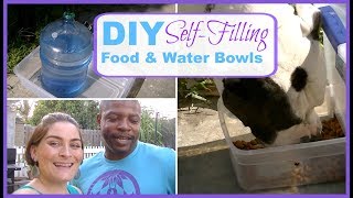 DIY SelfFilling Food amp Water Bowls  Cats or Dogs  Large Food Dispenser [upl. by Nana]