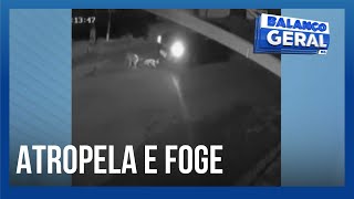 Câmeras flagram motorista fugindo após matar cachorro em Ituiutaba  Balanço Geral Sábado [upl. by Ellehcim]