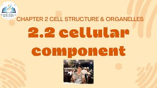 STPM BIOLOGY SEM 1 CHAPTER 2  ORGANELLES  CELL COMPONENT  NUCLEUS STRUCTURE amp FUNCTION [upl. by Charita]