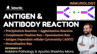 Antigen amp Antibody Reaction  Agglutination  Precipitation  Complement Fixation  Opsonization [upl. by Aivonas]