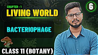 Bacteriophage in Tamil  Living World Tamil 6  Class 11 Botany State Board [upl. by Assillam]