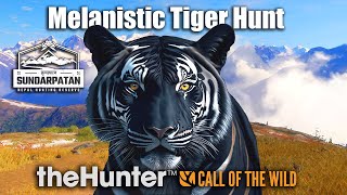 Melanistic Tiger Hunt  Sundarpatan Nepal  theHunter Call of the wild [upl. by Heringer]