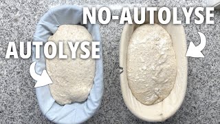 To autolyse or not to autolyse that is the question [upl. by Chaney]