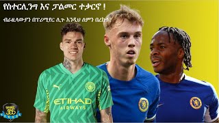 የስተርሊንግ እና ፓልመር ተቃርኖ   Ayenew Woldemichael   Sport 365  ስፖርት 365 [upl. by Bartosch]