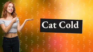 What does a cat with a cold sound like [upl. by Amisoc819]