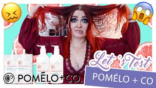 POMÉLO  CO  Influencer HAARE  Wie gut ist es wirklich  Lets Test  YooNessa [upl. by Assira872]