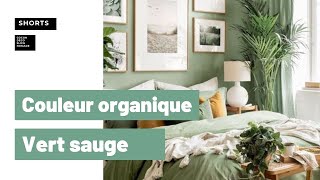 Inspiration couleur organique  Vert sauge [upl. by Walters]