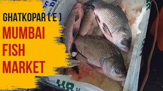 मुंबईतलं घाटकोपर  पूर्व  मच्छी बाजार  Mumbais Ghatkopar  East  Fish Market [upl. by Aicilev]