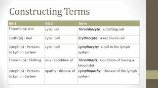 The Hematic and Lymphatic Systems [upl. by Eynenihc]