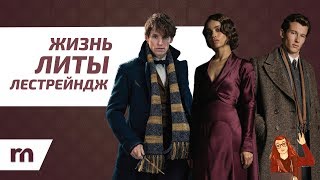 Жизнь Литы Лестрейндж ФАНТАСТИЧЕСКИЕ ТВАРИ [upl. by Sausa123]