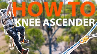 How to set up an SRT Knee Ascender for Tree Climbing [upl. by Filia]