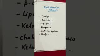 Lipid Metabolism Pathways lipids lipid metabolism metabolic [upl. by Eelarat]