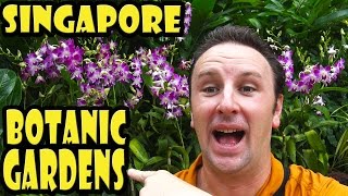 Singapore Botanic Gardens Travel Guide [upl. by Leith703]