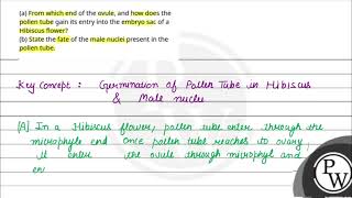 a From which end of the ovule and how does the pollen tube gain its entry into the embryo sac [upl. by Ariak]