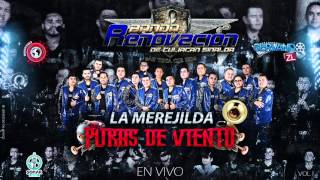 Banda Renovacion  La Merejilda En Vivo 2016 [upl. by Aissatsan]