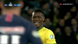 PSG 30 NANTES 20182019  DemiFinale de Coupe de France [upl. by Amoreta616]